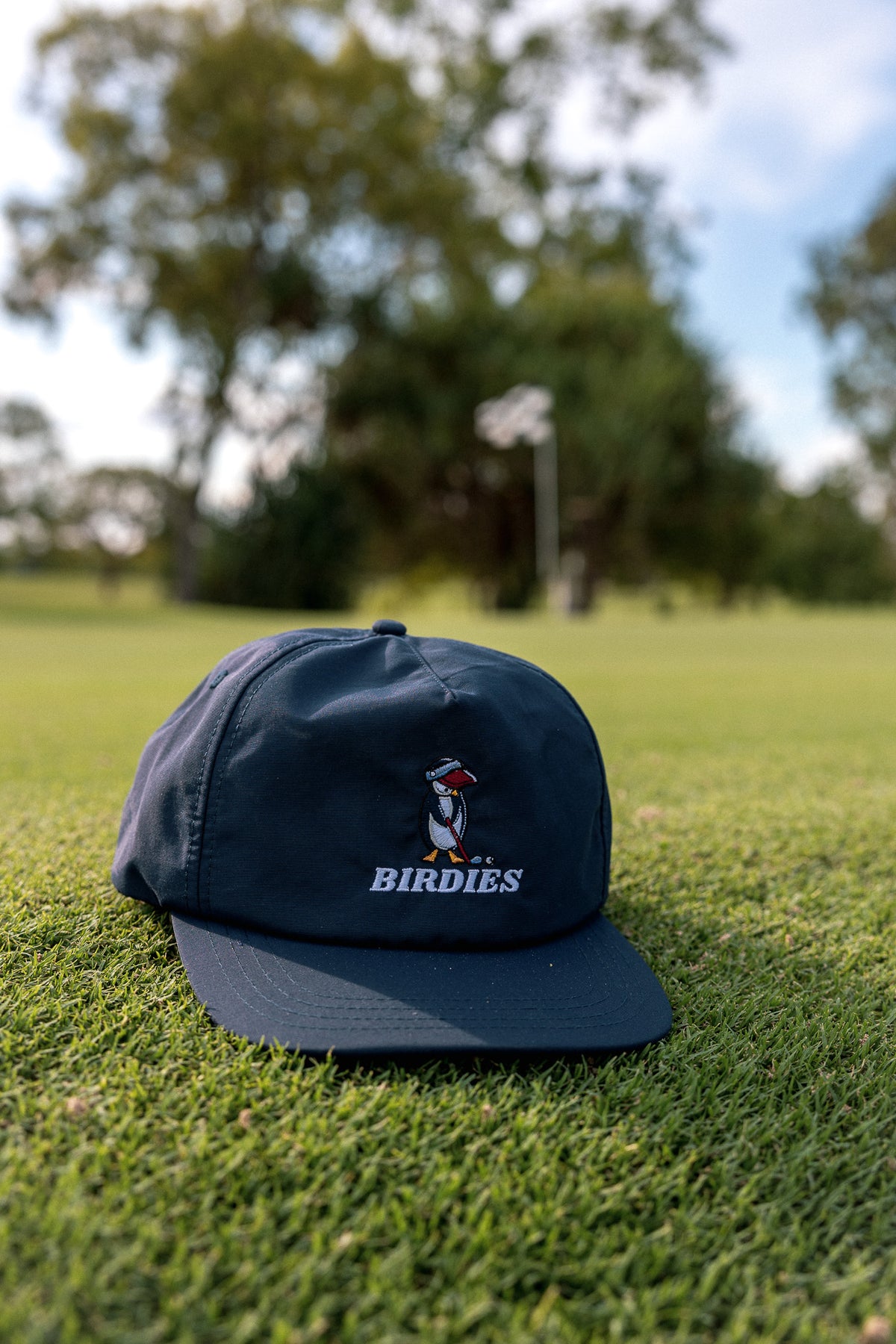 Birdies Cap