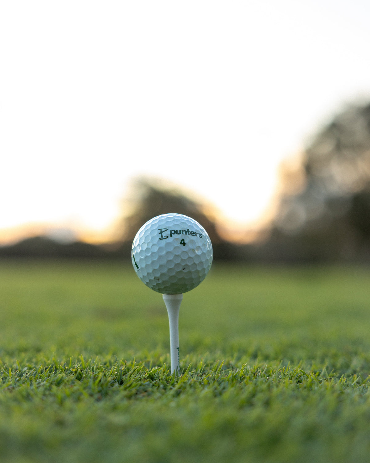 Birdie Balls