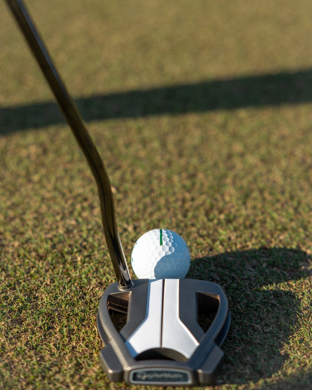 Birdie Balls