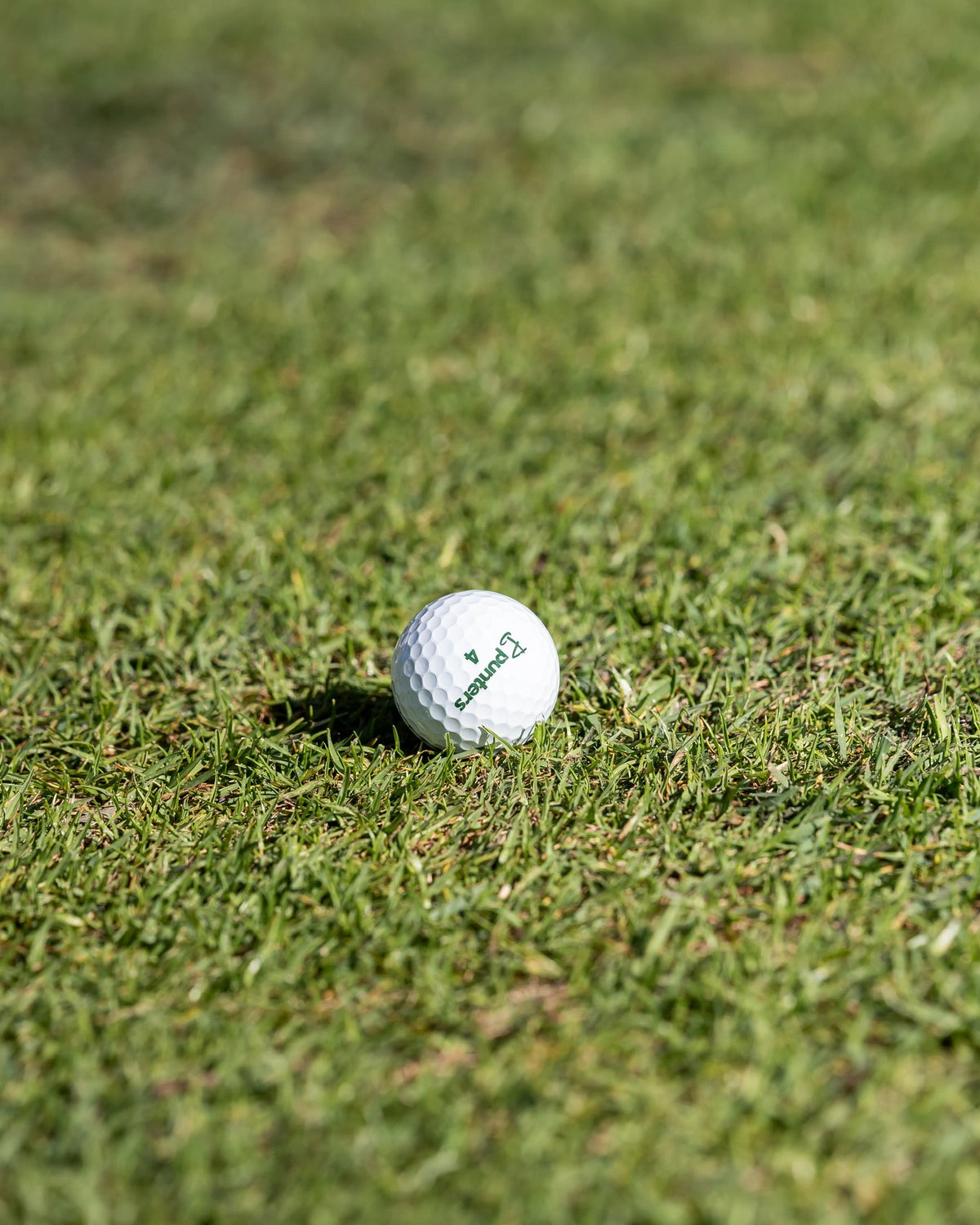 Birdie Balls