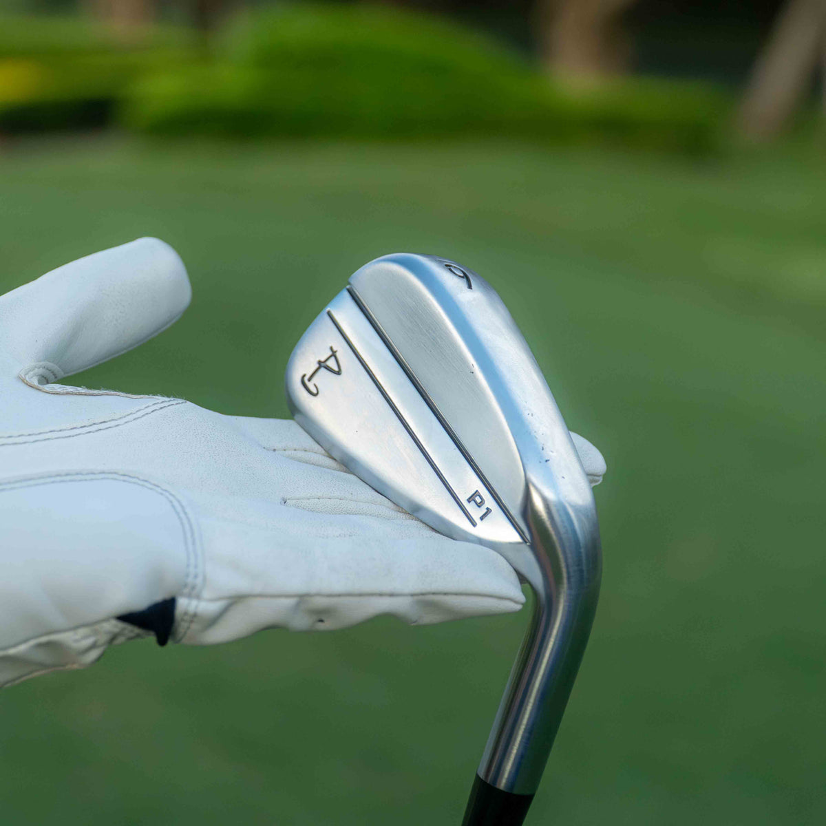 P1 Irons