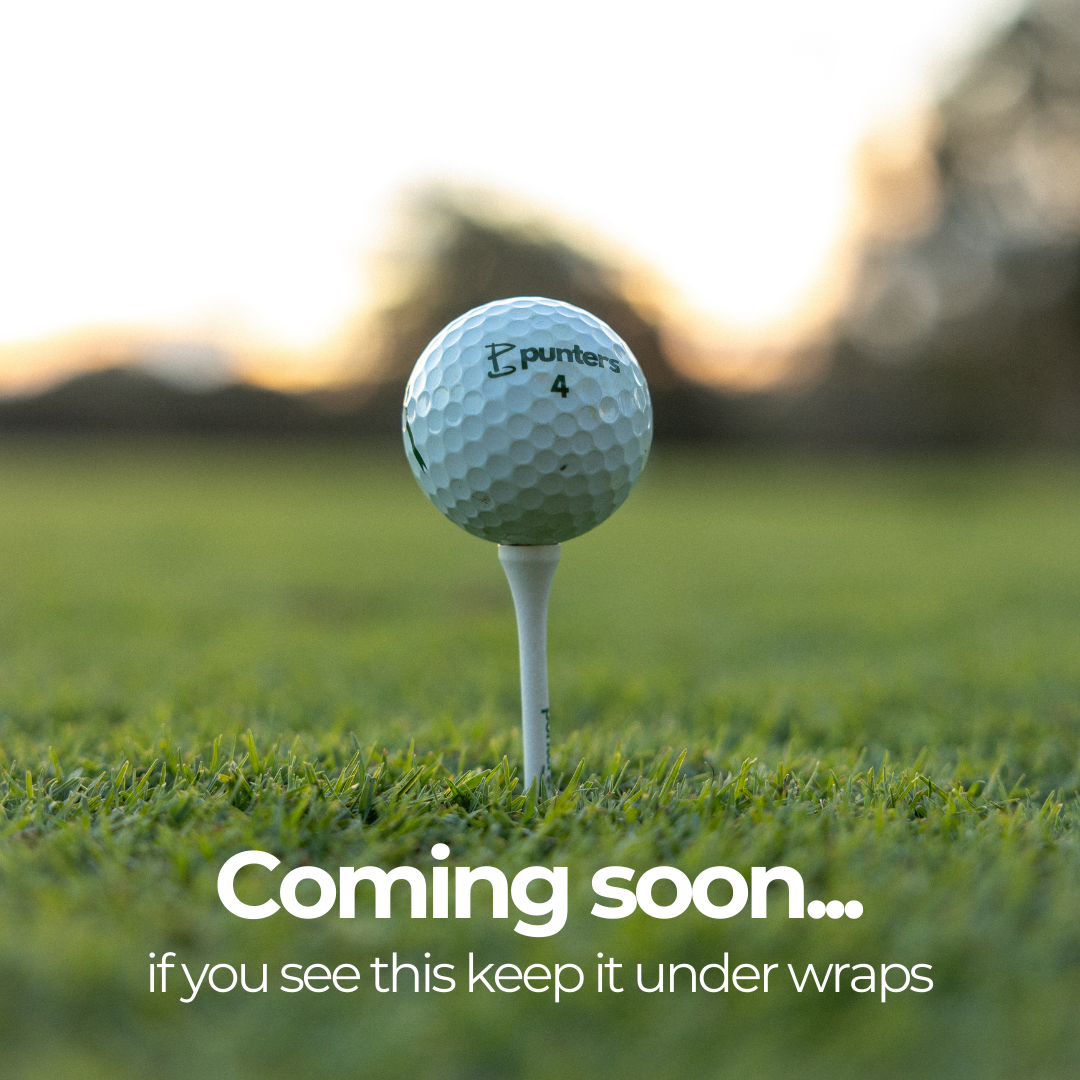 Birdie Balls