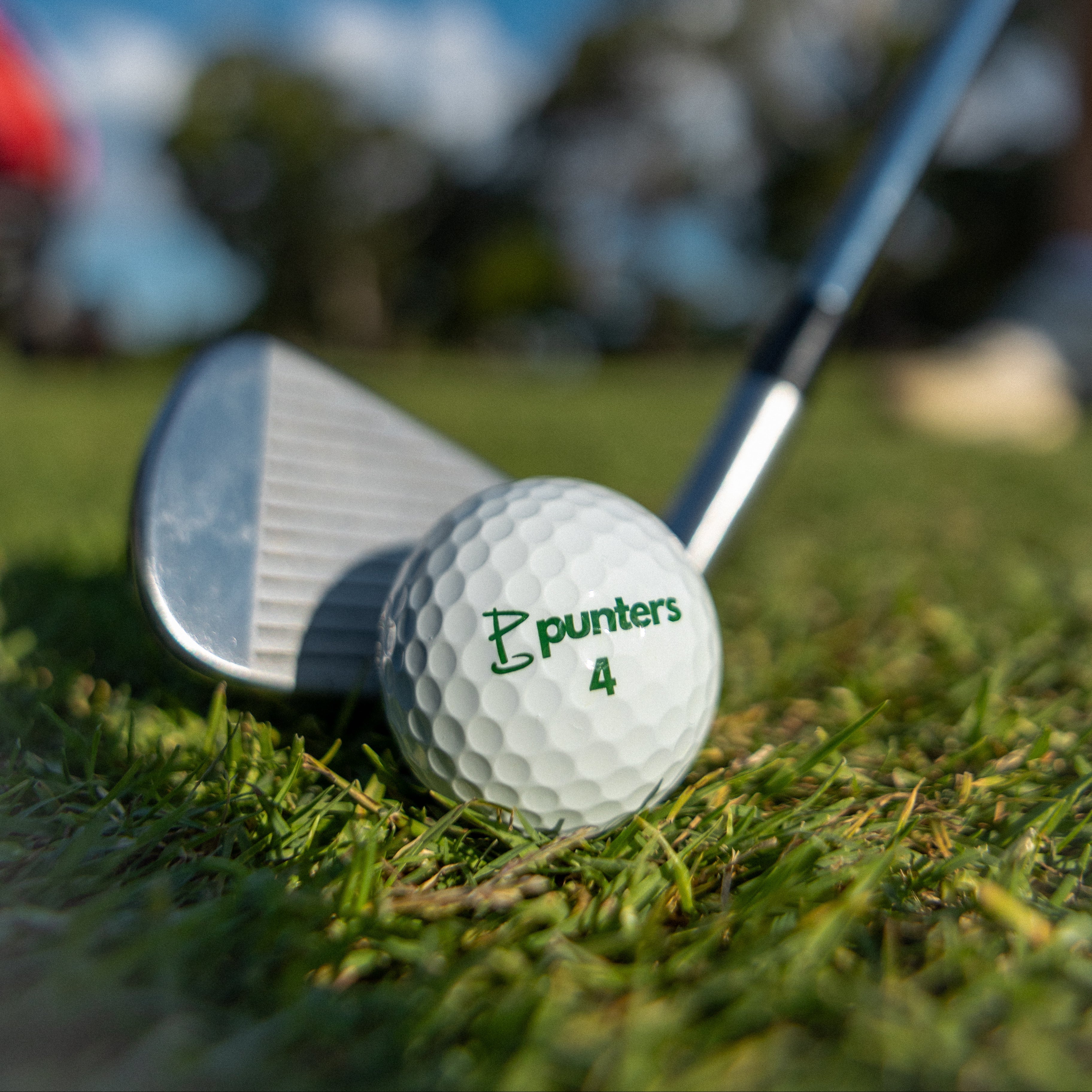 Birdie Balls
